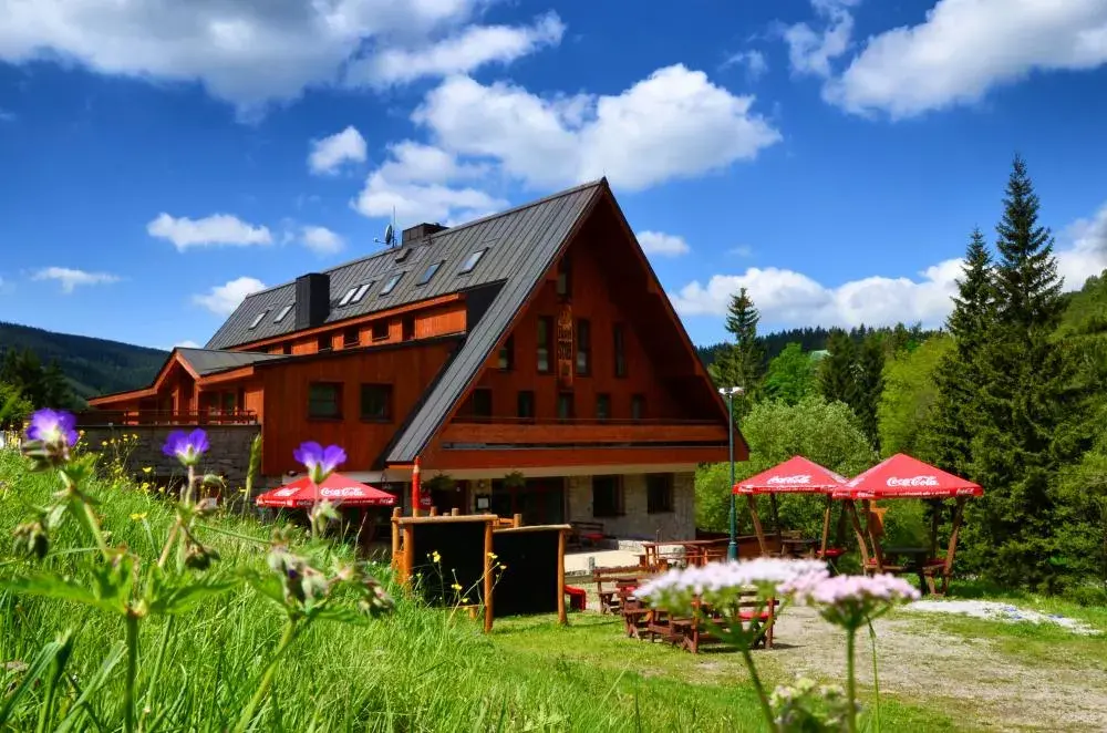 Photo of "Ski Hotel Stoh"